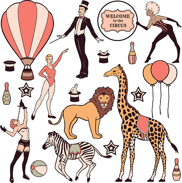 illustrazioni stock, clip art, cartoni animati e icone di tendenza di insieme di vari elementi di circo, le persone, gli animali e decorazioni - women circus acrobat gymnastics