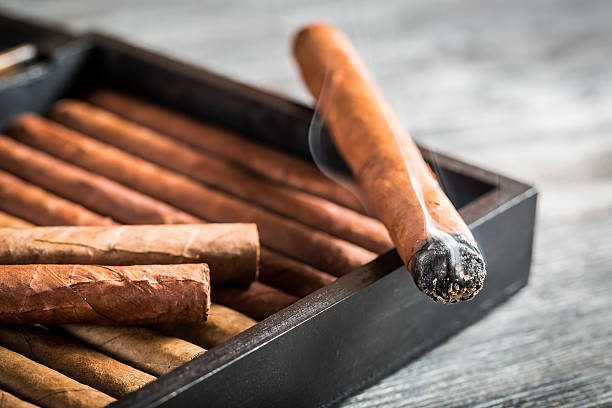 Burning cigar with smoke on wooden humidor stock photo