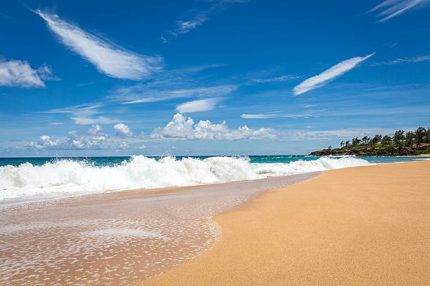 istock Tropical Beach and Nature Landscape, Hawaii 481826016