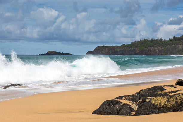 istock Tropical Beach and Nature Landscape, Hawaii 481826032