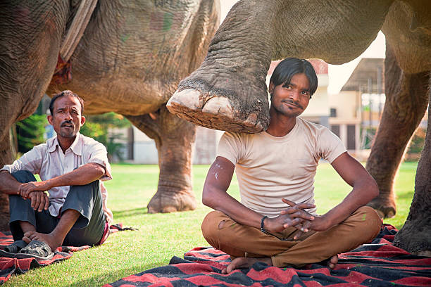 Young Mahout showing off. India.