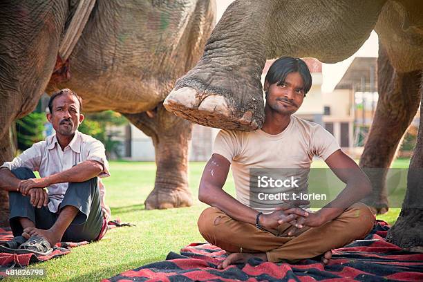 Young Mahout Showing Off India Stock Photo - Download Image Now - Holi, Animal Trainer, Elephant