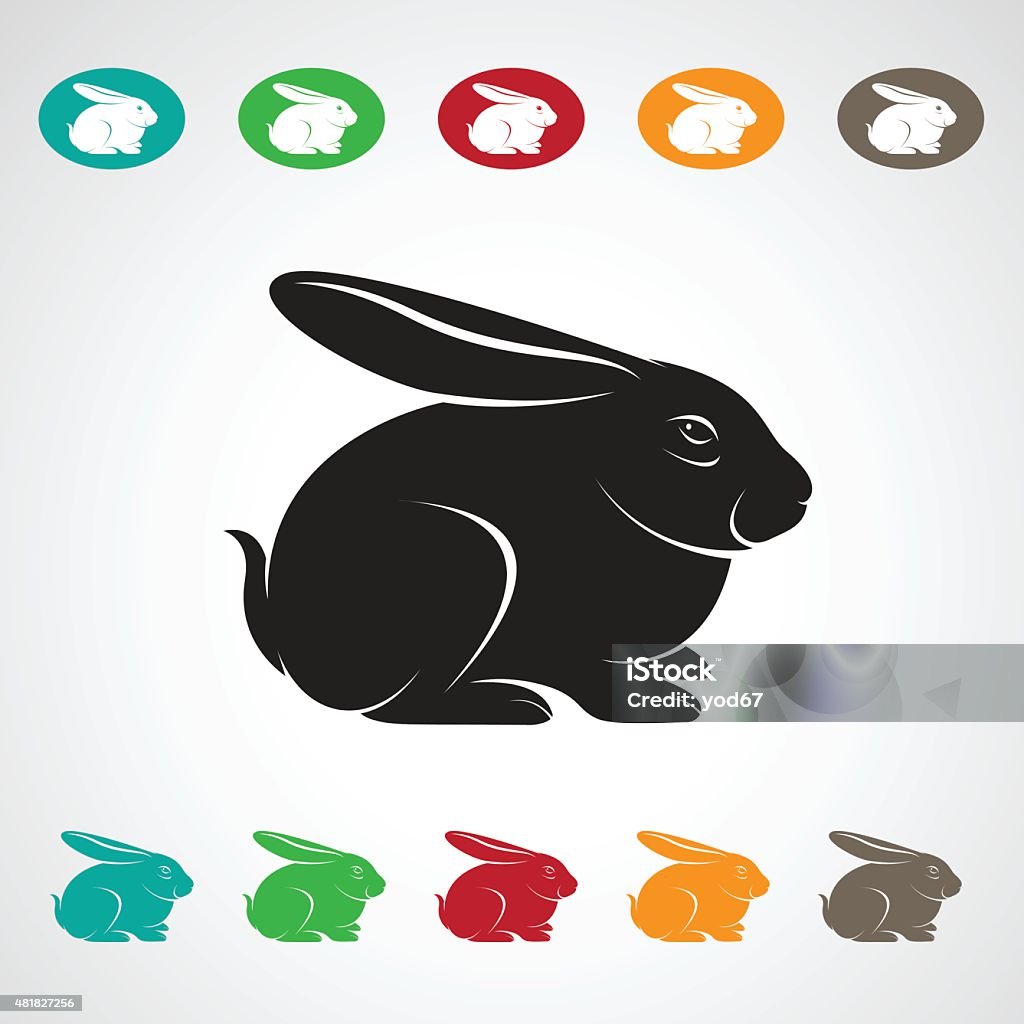 Pet Rabbit Vector Vector Image Of An Rabbit On White Background Stock Illustration ...
