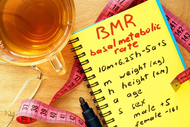 Photo of BMR basal metabolic rate formula in a notepad.