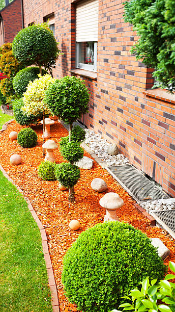istock Front garden in Oberhausen 481831392