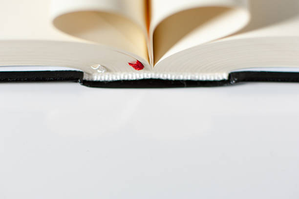 istock Pages of a Bible curved into a heart shape 481832448