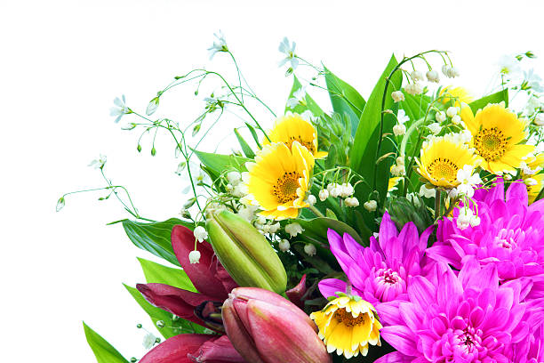 istock Bunch of summer flowers isolated on white background 481832628