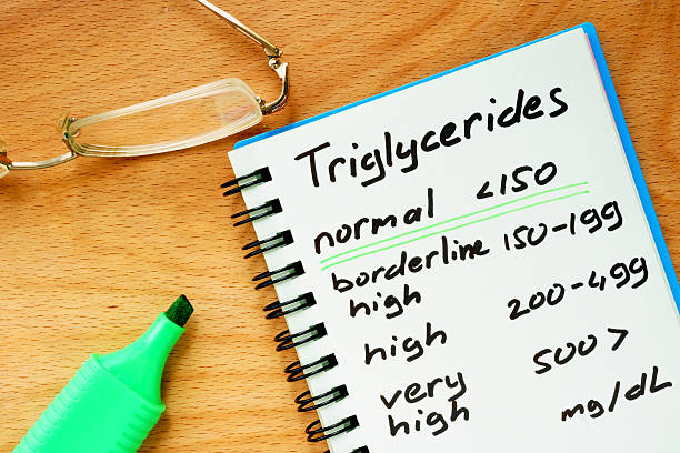istock Paper with  Triglycerides level chart on a wooden board. 481833324