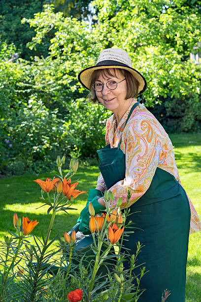 istock Smiling friendly lady watering plants in a garden. 481835564