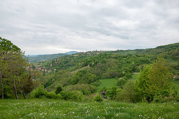 istock Springtime scene in zagorje, Croatia 481836408
