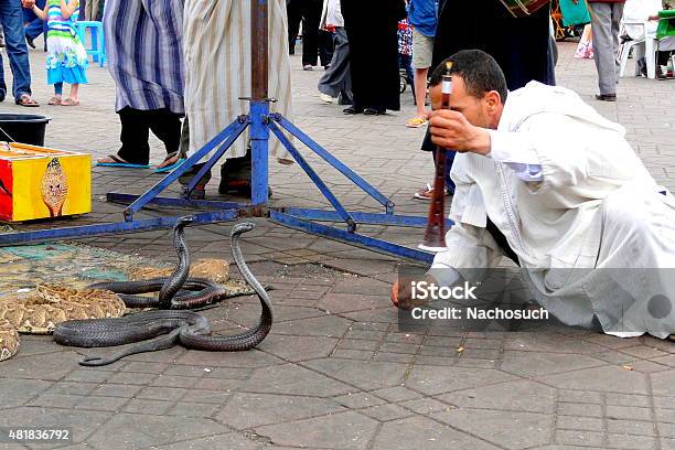 Snake Charmer Facing Egyptian Cobras At Djemaa El Fna Square Stock Photo - Download Image Now