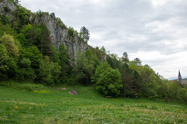 istock Springtime scene in zagorje, Croatia 481838112