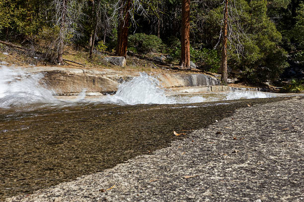 parc national de yosemite petite vue sur la rivière - treet photos et images de collection