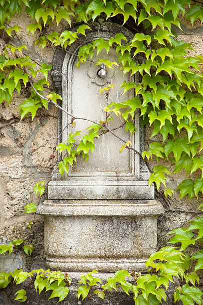 istock Old water fountain coverd in ivy 481843196