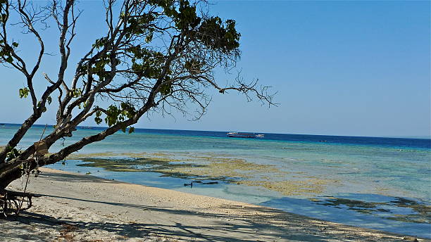 istock Indonesia - Gili Islands, Gili Air - Beach 481845128