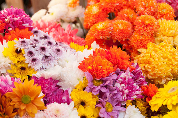 istock Flowers at the Market 481845770