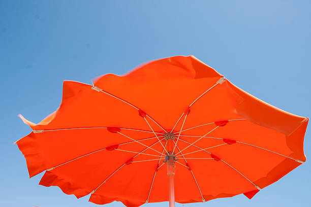 istock Umbrellas and sunbeds in Cesenatico Beach, Italy 481845968