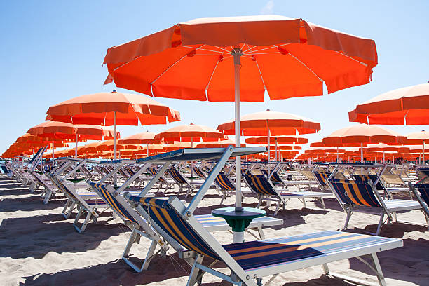 istock Umbrellas and sunbeds in Cesenatico Beach, Italy 481846810