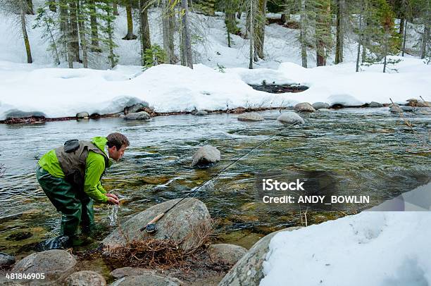 Fly Fishing Stock Photo - Download Image Now - Adult, Adults Only, Blue