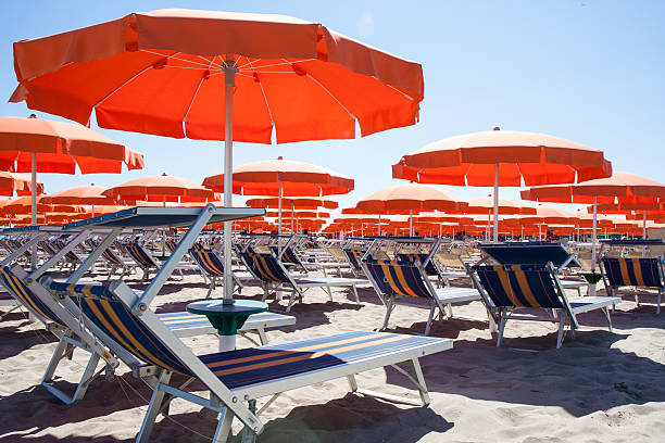 istock Umbrellas and sunbeds in Cesenatico Beach, Italy 481847070