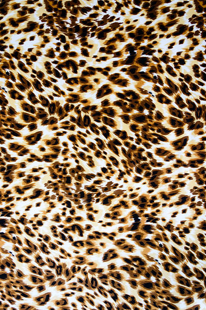 istock Texture fabric of leopard skin for background 481847298