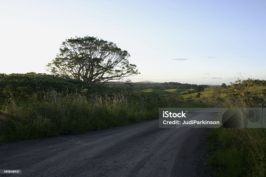 Country Road und Baum - Lizenzfrei Agrarbetrieb Stock-Foto