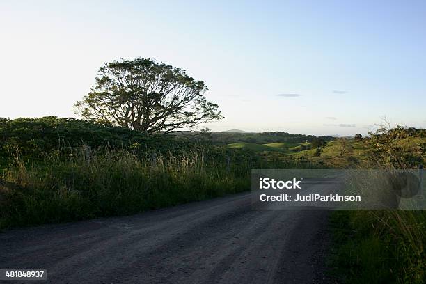 Photo libre de droit de Route De Campagne Et Arbre banque d'images et plus d'images libres de droit de Agriculture - Agriculture, Arbre, Au milieu de la route