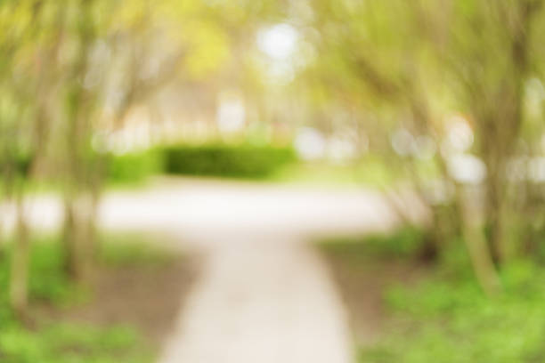 istock city park bokeh background 50mm lens 481850402