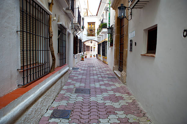 istock Old town full of flowerpots, Marbella 481850928