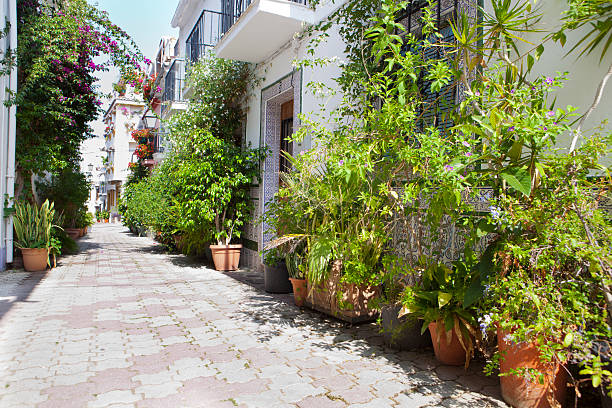 istock Old town full of flowerpots, Marbella 481852782