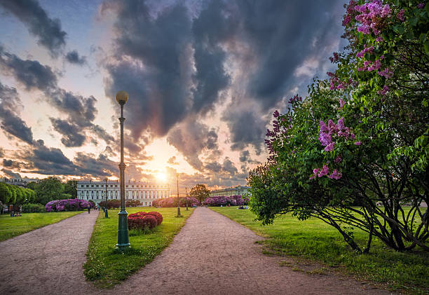 Lilac on Field of Mars under the thunderclouds