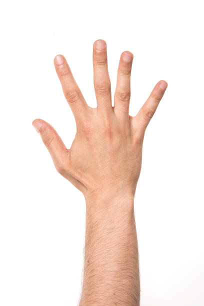 istock hand sign of number five 481856266