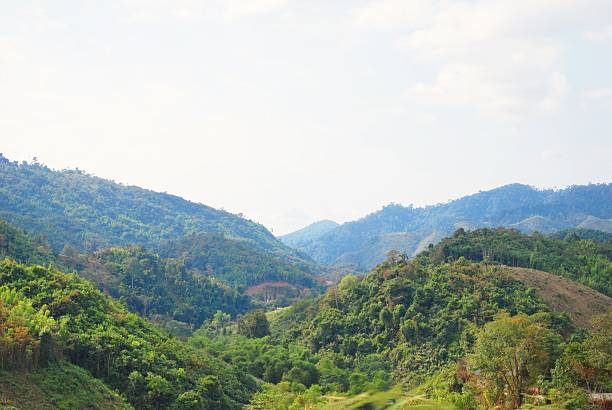 istock Landscape of mountain 481856829