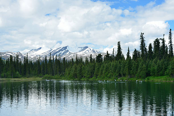 istock Birds and Lake in Alaska 481857524