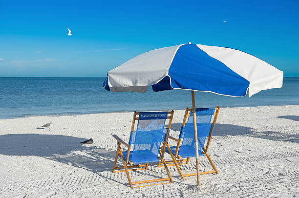 istock sun loungers and a beach umbrella on silver sand, vacation 481857633