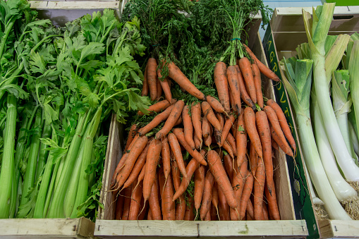 Close-up of organic carrots, bundled up, at outdoor farmer's market.