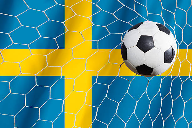 istock Sweden soccer ball 481858058