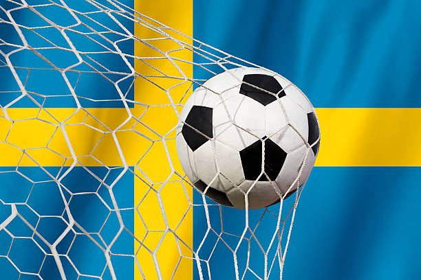 istock Sweden soccer ball 481858062
