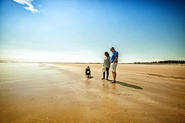 istock Mature smiling couple walking on the beach with dog 481860168
