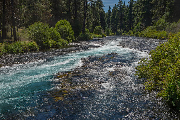 istock Mountain stream flowing through a forest in central Oregon 481860284