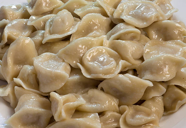 istock national food; dumplings; 481862555
