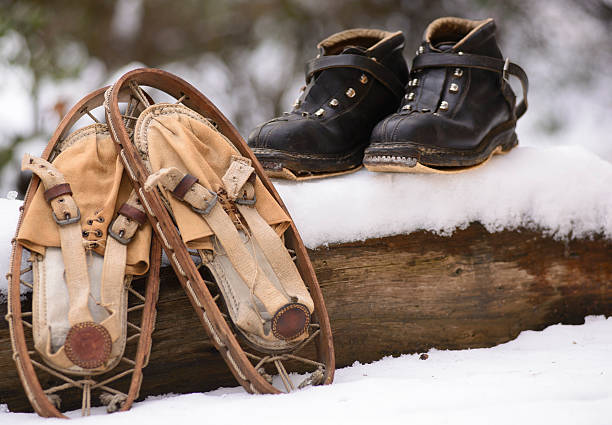 snowshoes a wolk - wolk fotografías e imágenes de stock