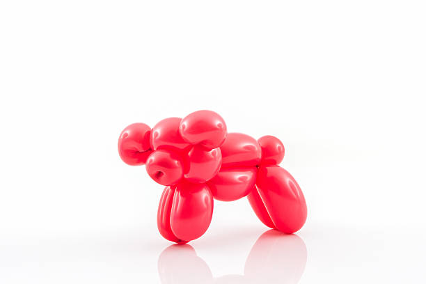 istock Balloon animal of red pig action pose. 481870328