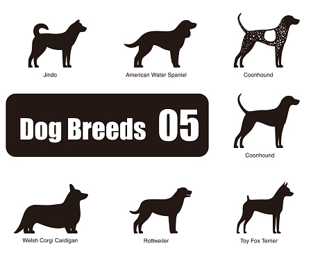 Dog breeds,  standing on the ground, side,silhouette, black and white, vector illustration, dog cartoon image series
