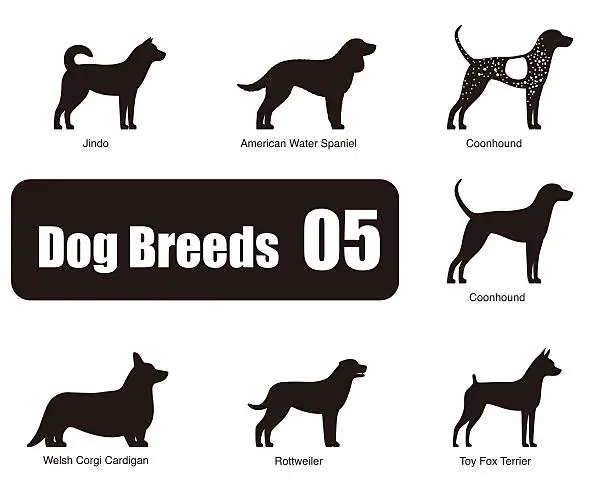 Vector illustration of set of dog breeds, black and white, side view, vector
