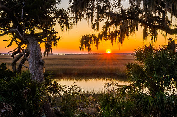 sal marsh - cumberland island imagens e fotografias de stock