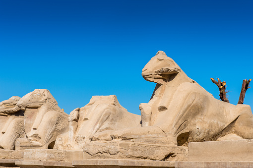 Ram statues of the Karnak temple, Luxor, Egypt (Ancient Thebes with its Necropolis). UNESCO World Heritage site