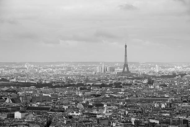 istock Cityscape of Paris with the Eiffel Tower 481880659