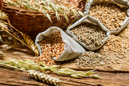 Los diferentes tipos de granos de cereales con pestañas photo
