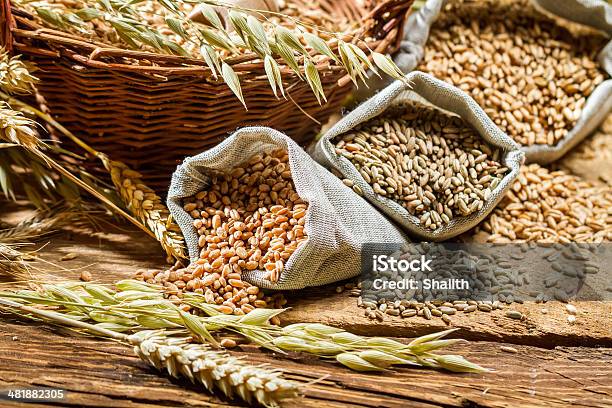 Los Diferentes Tipos De Granos De Cereales Con Pestañas Foto de stock y más banco de imágenes de Grano entero
